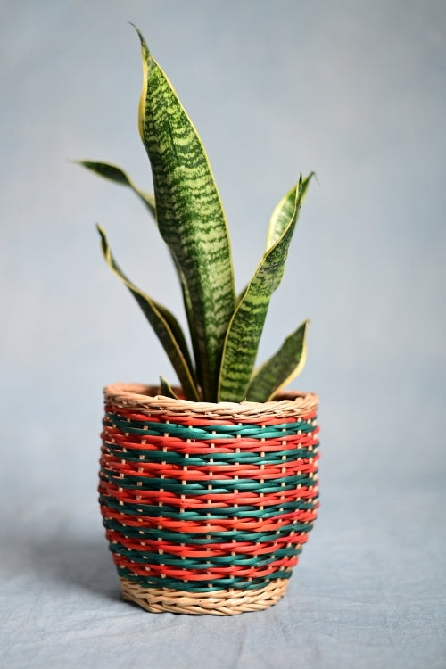 Kadam Haat Wicker Table Planter - Multicolour