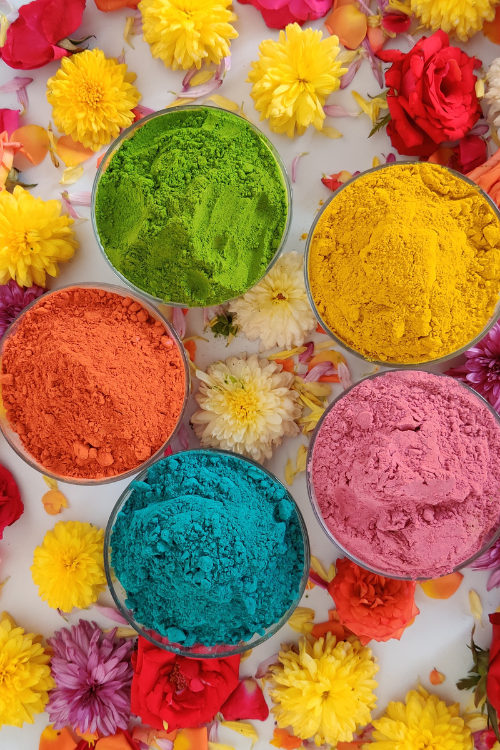 Craftizen Petalists Ecofriendly Holi Colours - 5 Colour Combo