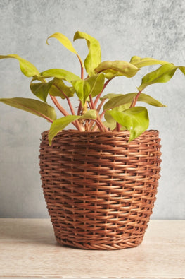 Wicker Table Planter - Brown