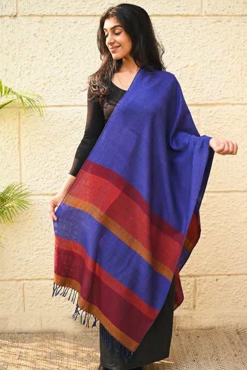 The ICH Fine, Soft Himachal Wool Striped Stole - Royal Blue And Multicolored