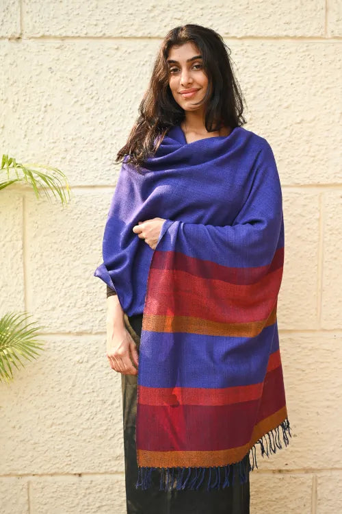 The ICH Fine, Soft Himachal Wool Striped Stole - Royal Blue And Multicolored