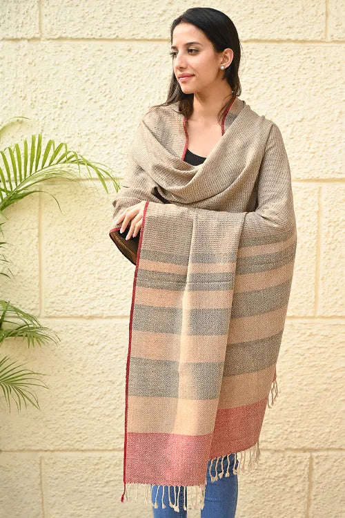 The ICH Exclusive Soft Himachal Wool Shawl With Woven Border - Biscuit Taupe