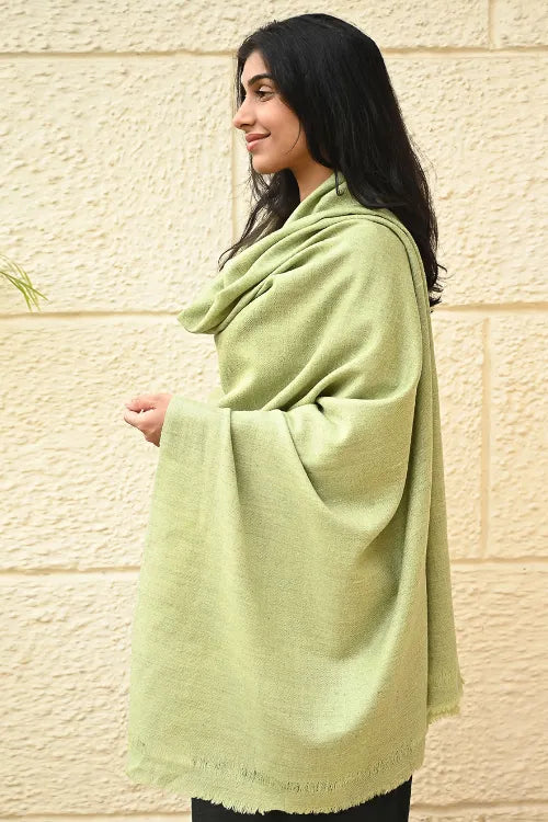The ICH Fine, Soft Himachal Wool Self Striped Shawl - Mist Green