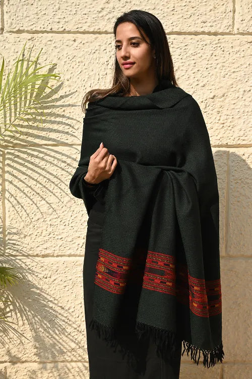 The ICH Exclusive Soft Himachal Wool Shawl With Woven Border - Midnight Emerald