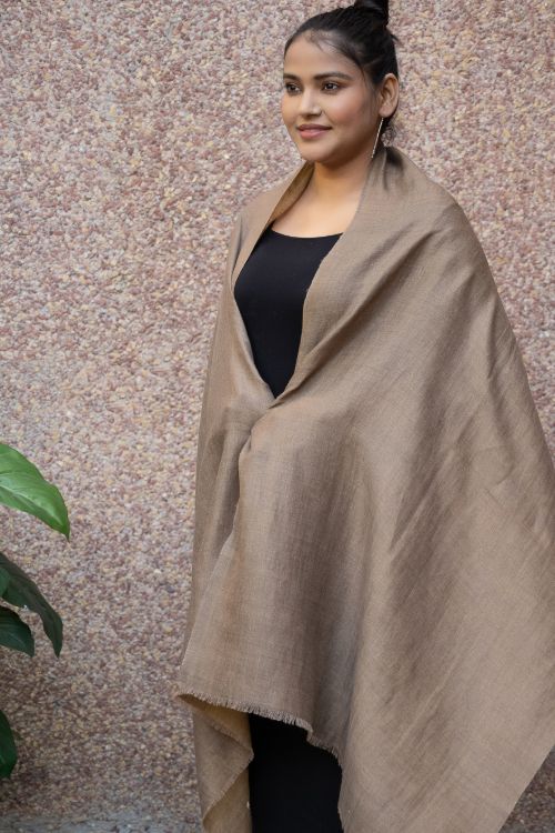 TICH Exclusive Pure Pashmina Wool & Zari Reversible Kashmiri Stole - Pale Brown & Gold