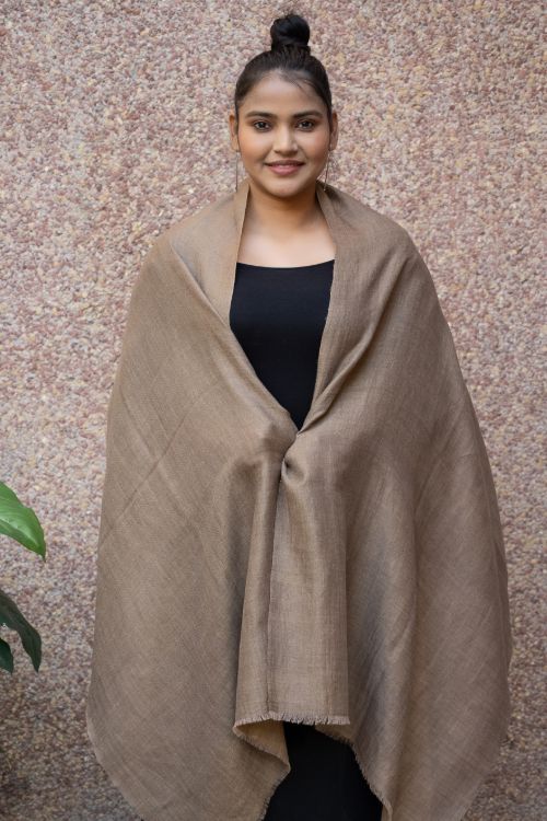 TICH Exclusive Pure Pashmina Wool & Zari Reversible Kashmiri Stole - Pale Brown & Gold