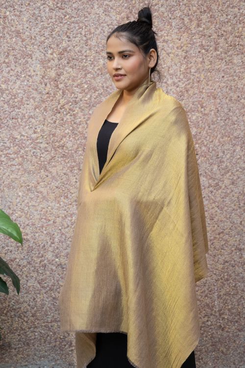 TICH Exclusive Pure Pashmina Wool & Zari Reversible Kashmiri Stole - Pale Brown & Gold
