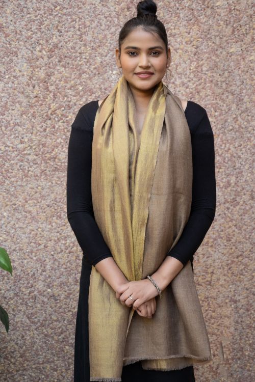 TICH Exclusive Pure Pashmina Wool & Zari Reversible Kashmiri Stole - Pale Brown & Gold