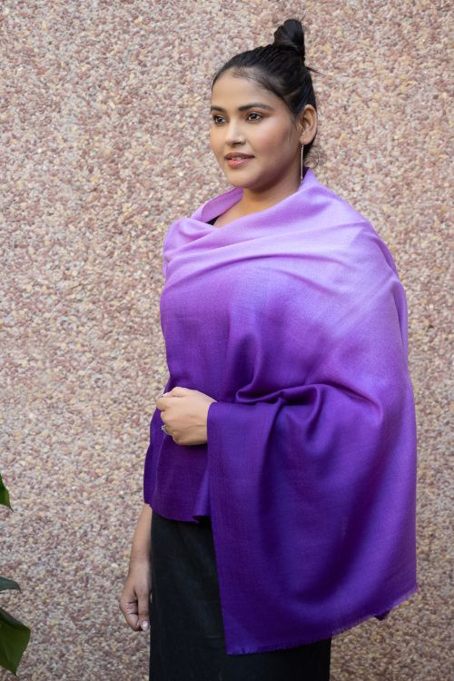 TICH Fine, Soft Kashmiri Ombre Wool Stole - Shades Of Mauve