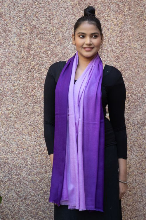 TICH Fine, Soft Kashmiri Ombre Wool Stole - Shades Of Mauve