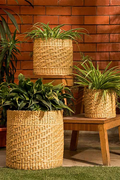 Dharini Kauna Round Planter Natural Extra Large