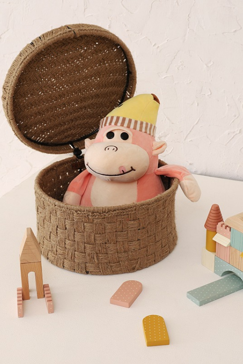 Sirohi Mini Coral Storage Trunk