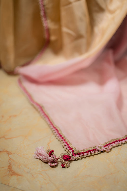 Samoolam Champagne & Blush Lavanya handwoven sarees