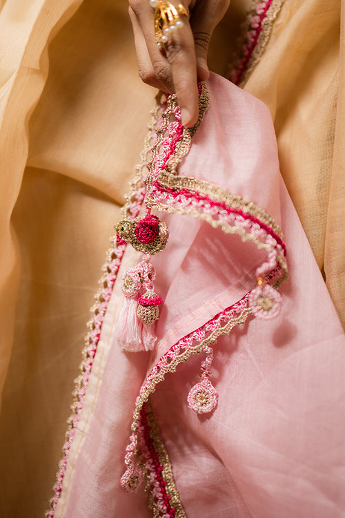 Samoolam Champagne & Blush Lavanya handwoven sarees