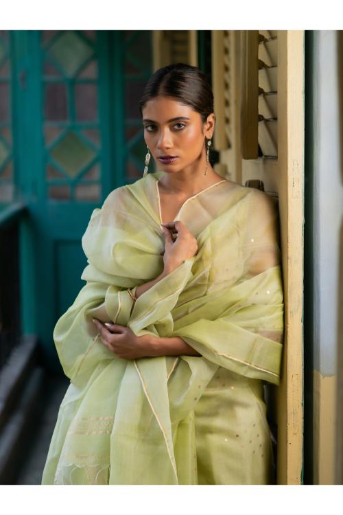 TICH Sheer Elegance. Exclusive Handwoven Resham Silk Saree - Pastel Green
