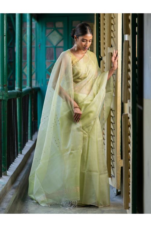 TICH Sheer Elegance. Exclusive Handwoven Resham Silk Saree - Pastel Green