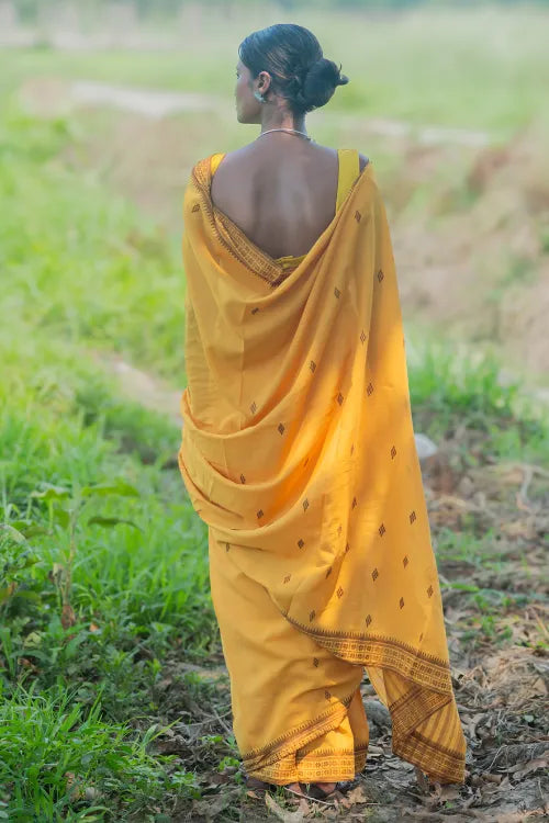 The ICH Bengal Weaves. Handwoven Cotton Saree - Sonar Tuli