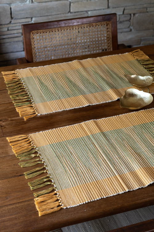 Chhaya Hand-Woven Placemats (Set Of 2)