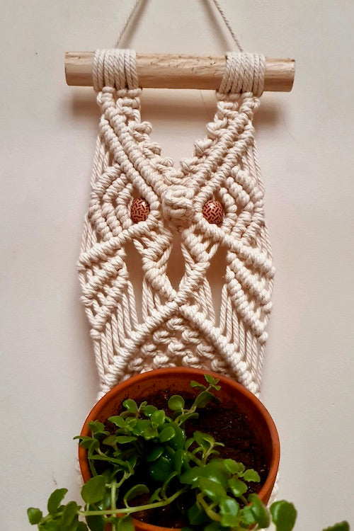 "House of Macrame" Owl Plant Hanger