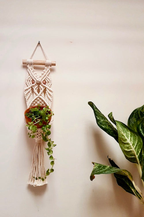 "House of Macrame" Owl Plant Hanger