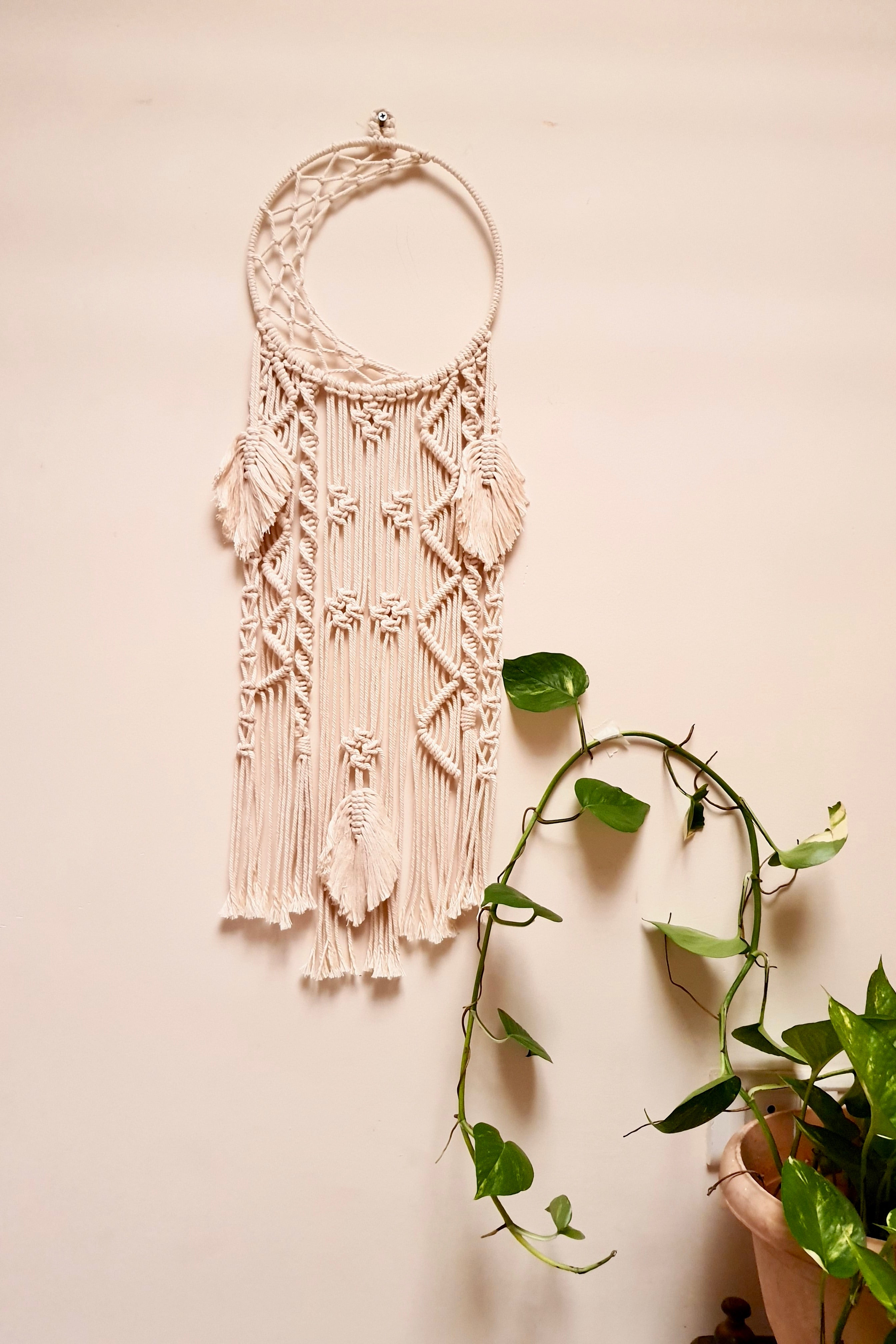 dream catcher air plant Buy Fly Me To Moon White Macrame Dream Catcher Online – Okhaistore