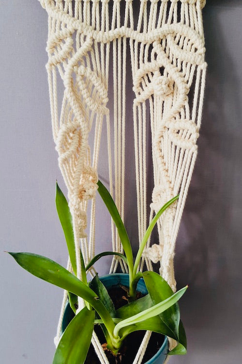 House of Macrame Macrame Handcrafted 'Tehni' Plant Hanger