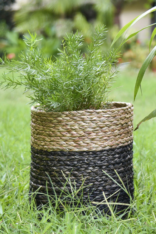 Kadam Haat Handmade Sabai Grass Planter Small (Black)