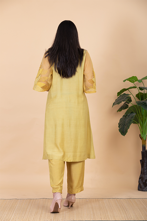 Chambray & Co.'S Kaashvi Applique Vegan Silk Coord Set