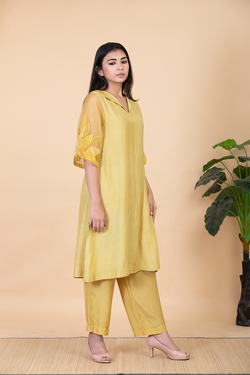 Chambray & Co.'S Kaashvi Applique Vegan Silk Coord Set