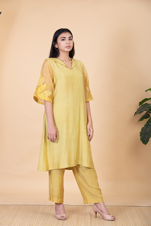Chambray & Co.'S Kaashvi Applique Vegan Silk Coord Set