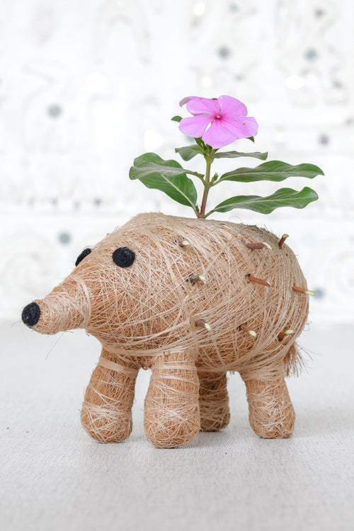 Okhai 'Midget' Porcupine Coconut Fibre Planter