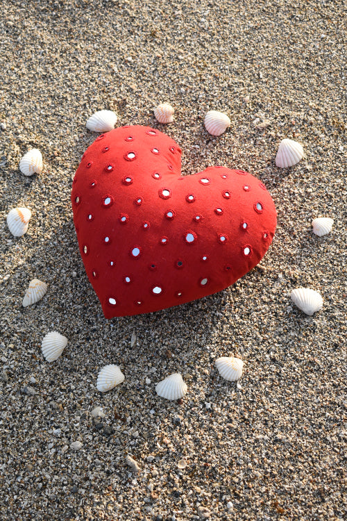 Okhai 'Heartbeat' Pure Cotton MIrror Work Cushion