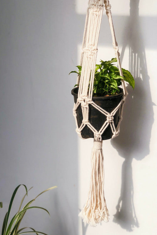 HoM Handcrafted Macrame 'Bali' Plant Hanger