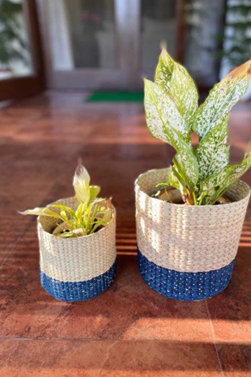 Pine Cone Handcrafted Kauna  Diagonal Weave Planter 6"- Colorblcok