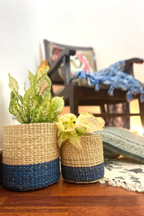 Pine Cone Handcrafted Kauna  Diagonal Weave Planter 6"- Colorblcok