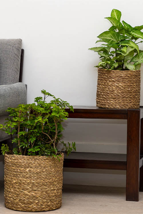 Kadam Haat Handmade Eco Planter Set Of 2