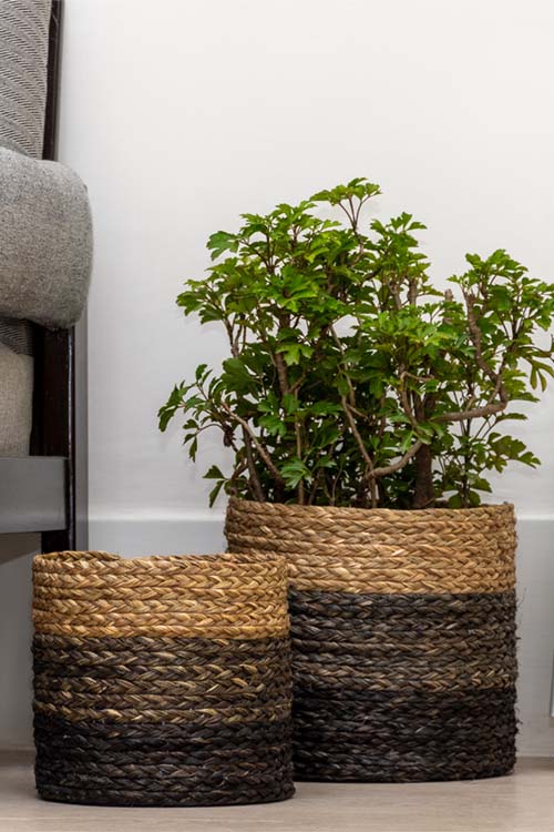 Kadam Haat Handmade Black Eco Planter Set Of 2