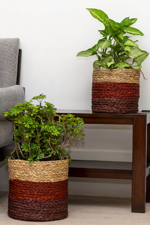 Kadam Haat Handmade Brown Eco Planter Set Of 2