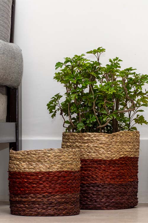 Kadam Haat Handmade Brown Eco Planter Set Of 2