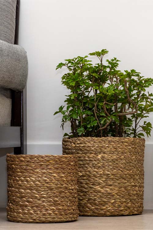 Kadam Haat Handmade Eco Planter Set Of 2