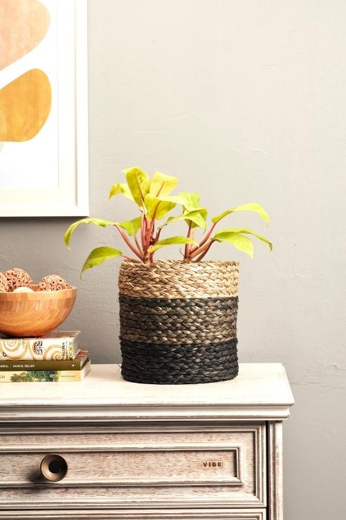 Kadam Haat Handmade Sabai Grass Planter Large (Black)