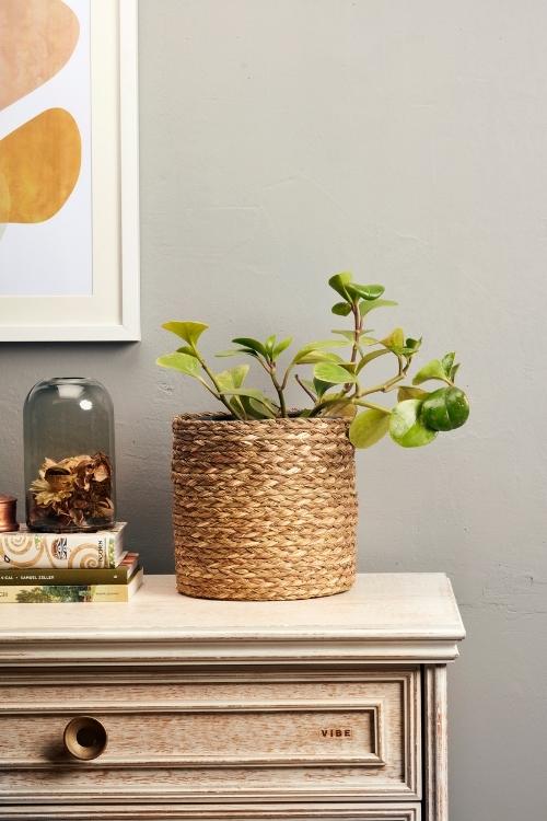 Kadam Haat Handmade Sabai Grass Planter Large (Natural)