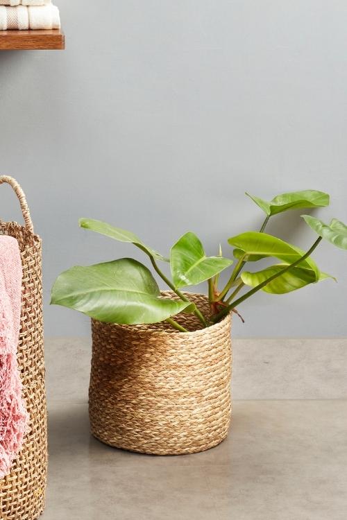 Kadam Haat Handmade Sabai Grass Planter Small (Natural)