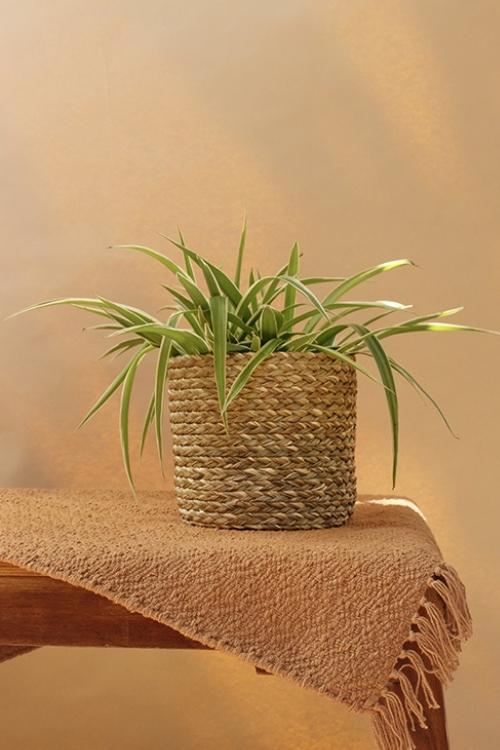 Kadam Haat Handmade Sabai Grass Planter Small (Natural)