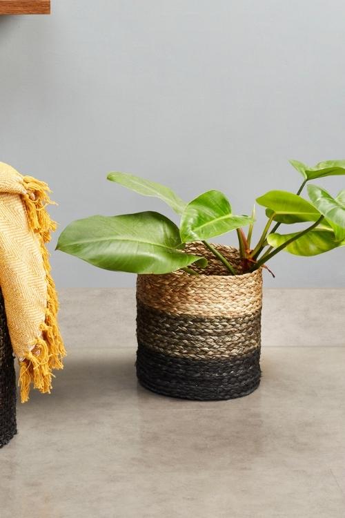 Kadam Haat Handmade Sabai Grass Planter Small (Black)