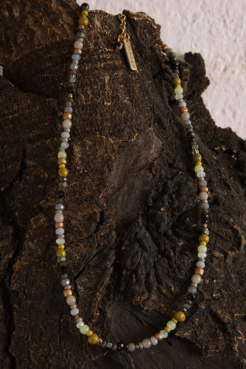 Dhaaga Forest Citrus