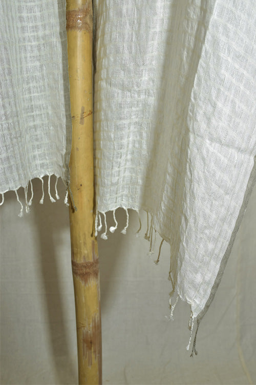 Avani Kumaon Silk Linen Stole | White With Grey Border