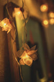 Samoolam Handmade Home Decor LED String Lights ~ Pink Rose with Hearts