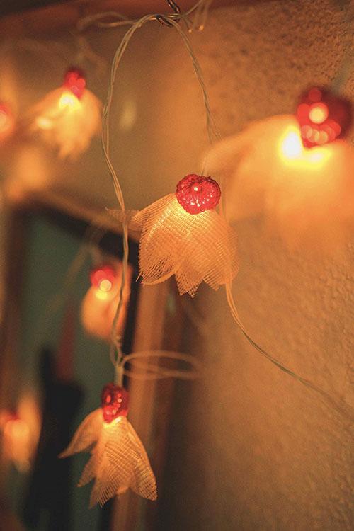 Samoolam Handmade Home Decor LED String Lights ~ Orange Petals with Hearts