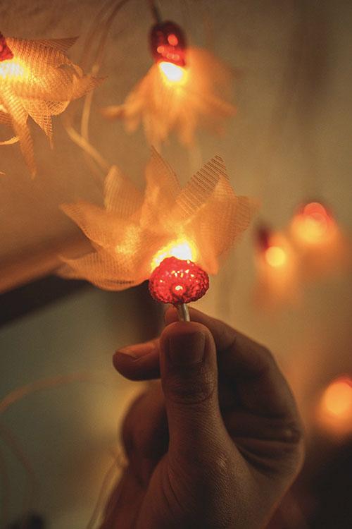 Samoolam Handmade Home Decor LED String Lights ~ Orange Petals with Hearts